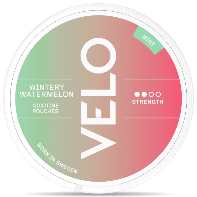 VELO Wintery Watermelon Mini