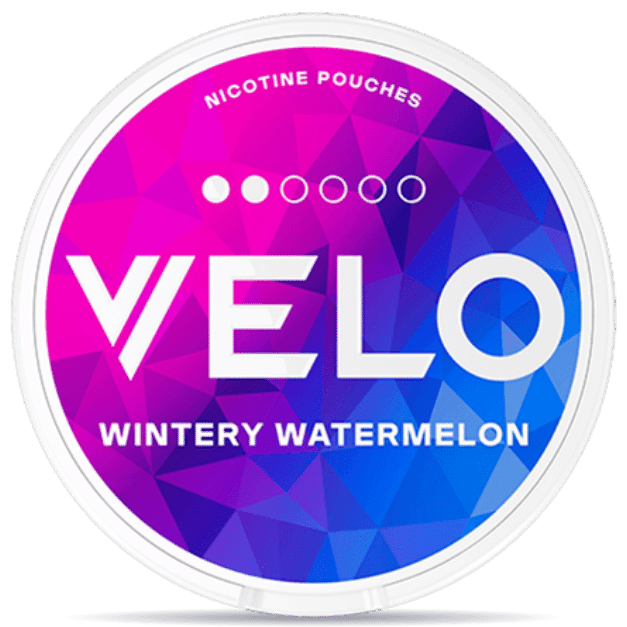 VELO Wintery Watermelon Mini