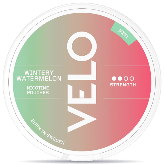 VELO Wintery Watermelon Mini